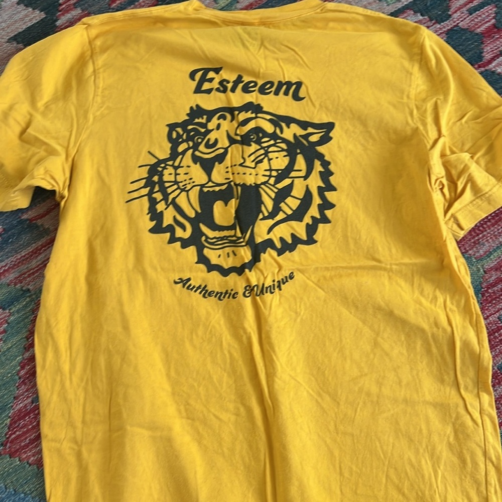 Men’s Esteem Surf T-Shirt